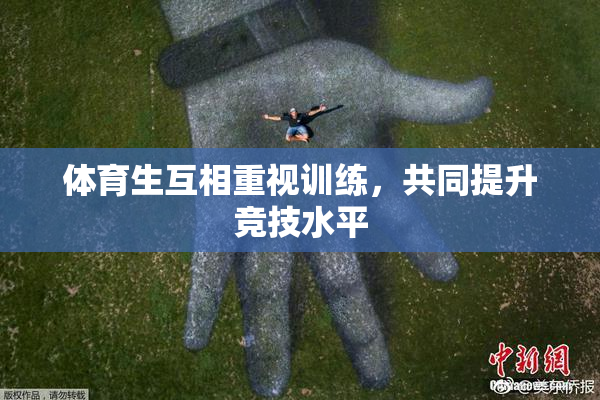 体育生互相重视训练，共同提升竞技水平