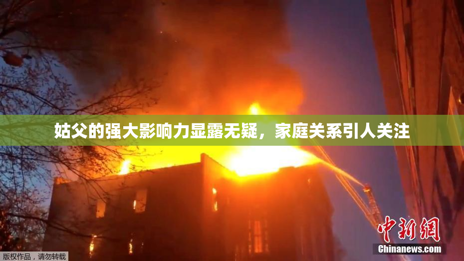 姑父的强大影响力显露无疑，家庭关系引人关注