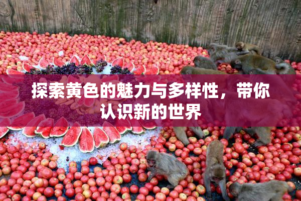 探索黄色的魅力与多样性，带你认识新的世界