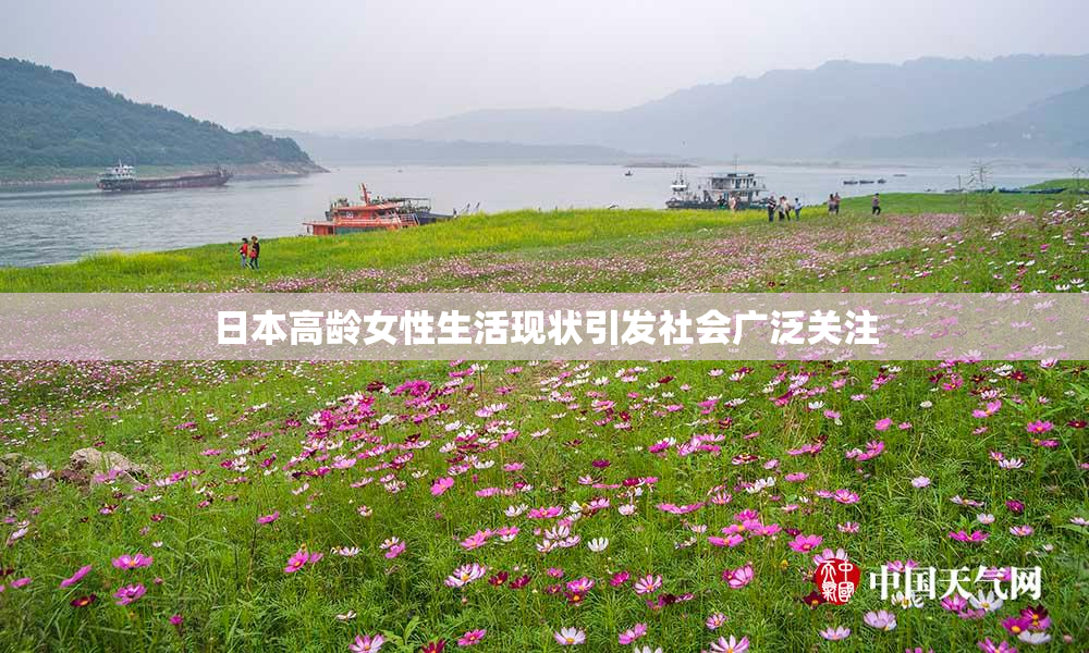日本高龄女性生活现状引发社会广泛关注