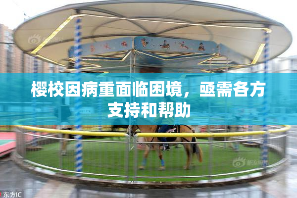 樱校因病重面临困境，亟需各方支持和帮助