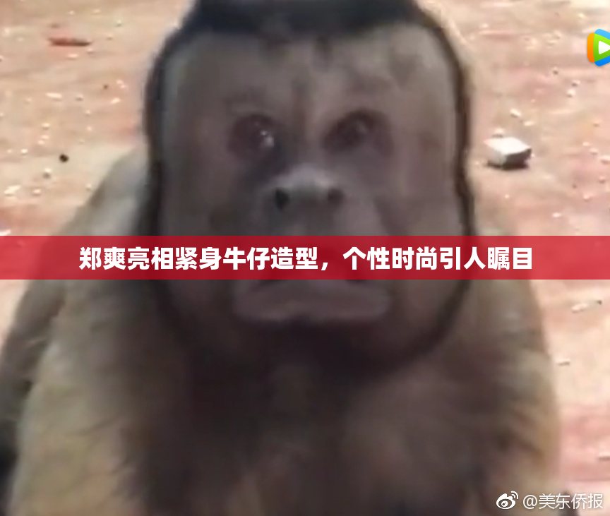 郑爽亮相紧身牛仔造型，个性时尚引人瞩目