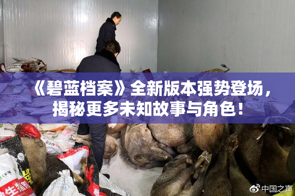 《碧蓝档案》全新版本强势登场，揭秘更多未知故事与角色！