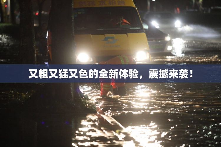又粗又猛又色的全新体验，震撼来袭！