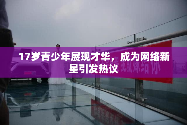 17岁青少年展现才华，成为网络新星引发热议