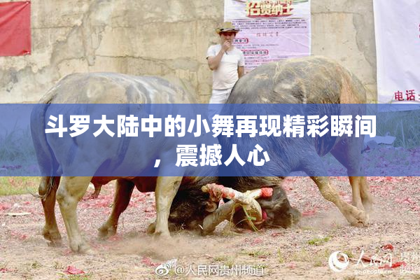 斗罗大陆中的小舞再现精彩瞬间，震撼人心
