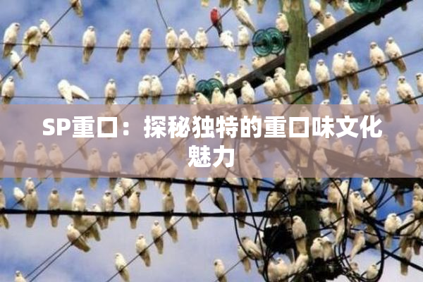 SP重口：探秘独特的重口味文化魅力