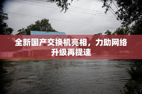 全新国产交换机亮相，力助网络升级再提速