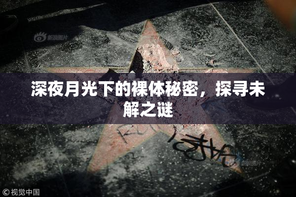 深夜月光下的裸体秘密，探寻未解之谜