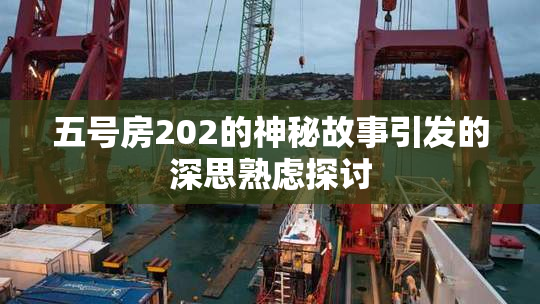 五号房202的神秘故事引发的深思熟虑探讨