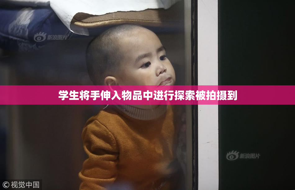 学生将手伸入物品中进行探索被拍摄到