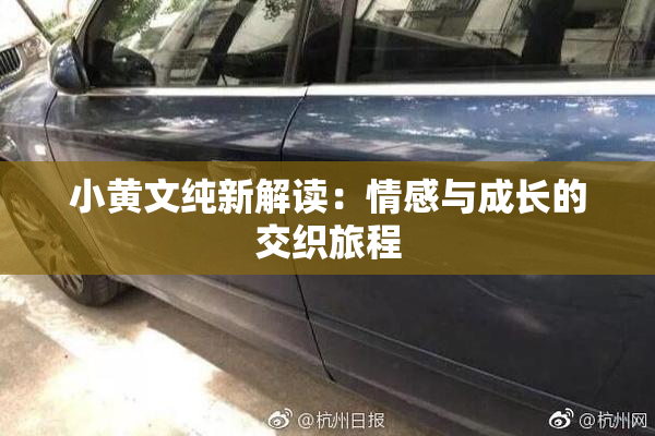 小黄文纯新解读：情感与成长的交织旅程
