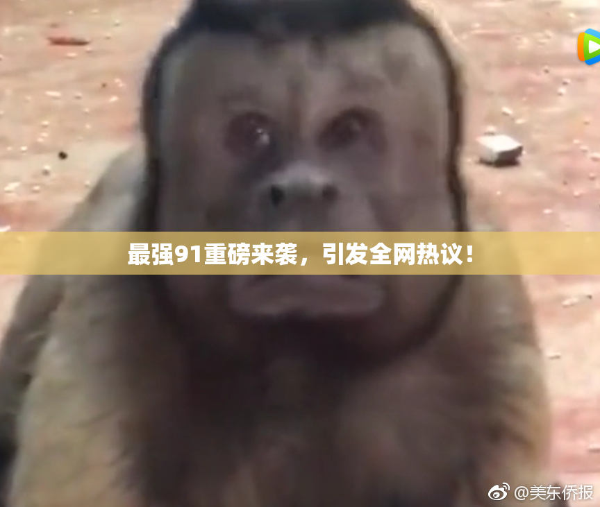 最强91重磅来袭，引发全网热议！