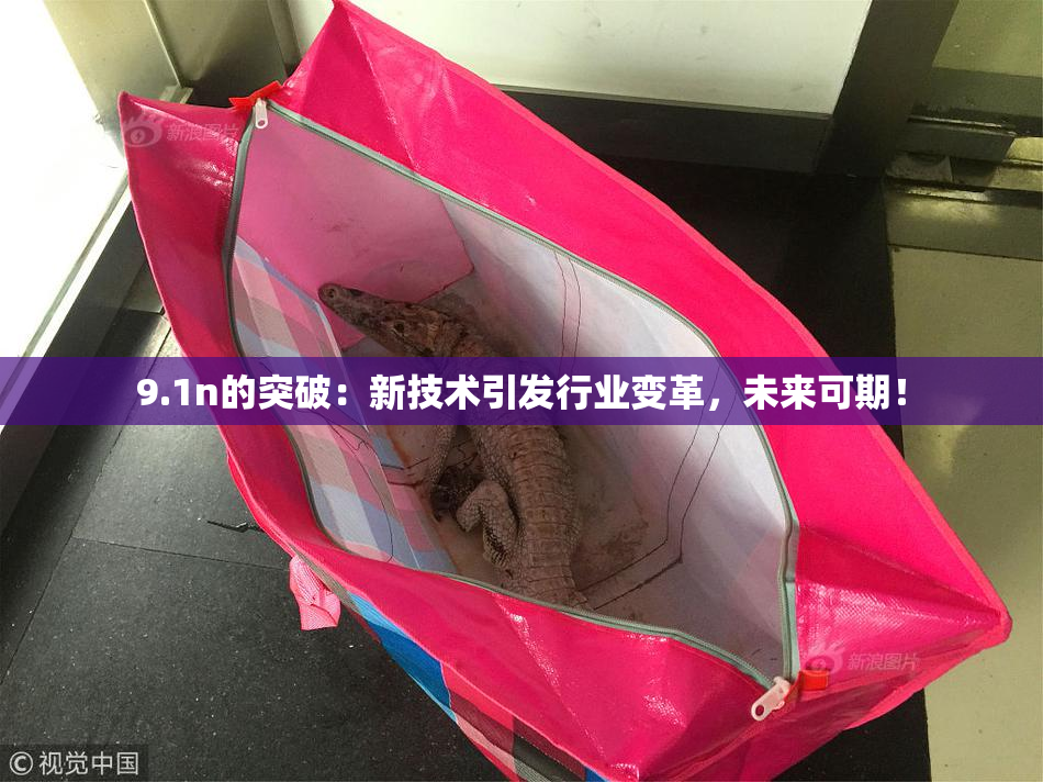 9.1n的突破：新技术引发行业变革，未来可期！