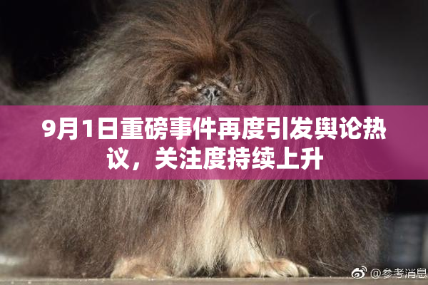 9月1日重磅事件再度引发舆论热议，关注度持续上升