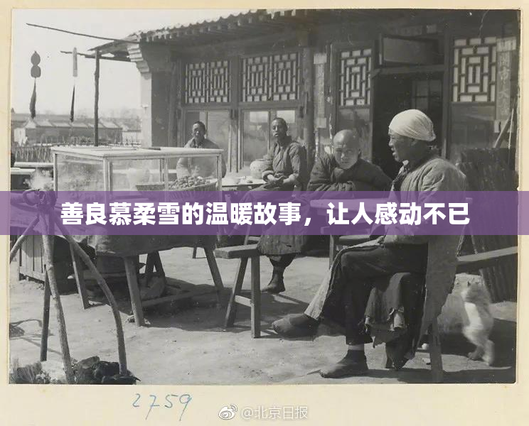 善良慕柔雪的温暖故事，让人感动不已
