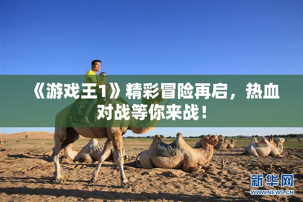 《游戏王1》精彩冒险再启，热血对战等你来战！