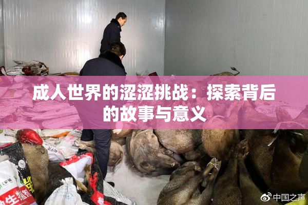 成人世界的涩涩挑战：探索背后的故事与意义