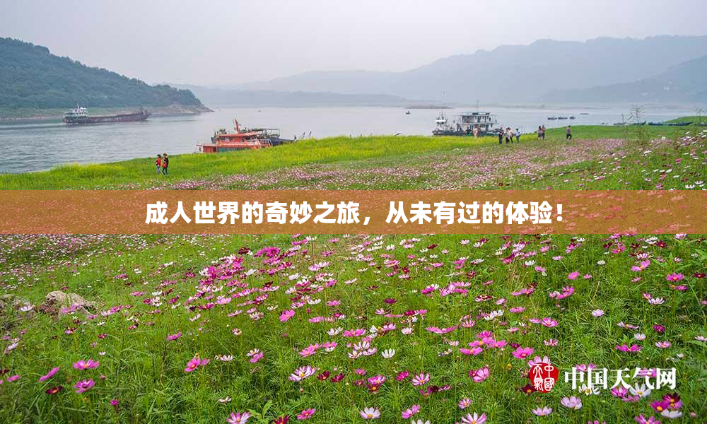 成人世界的奇妙之旅，从未有过的体验！