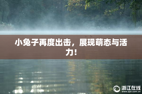 小兔子再度出击，展现萌态与活力！