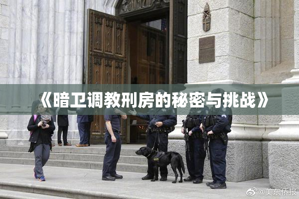 《暗卫调教刑房的秘密与挑战》