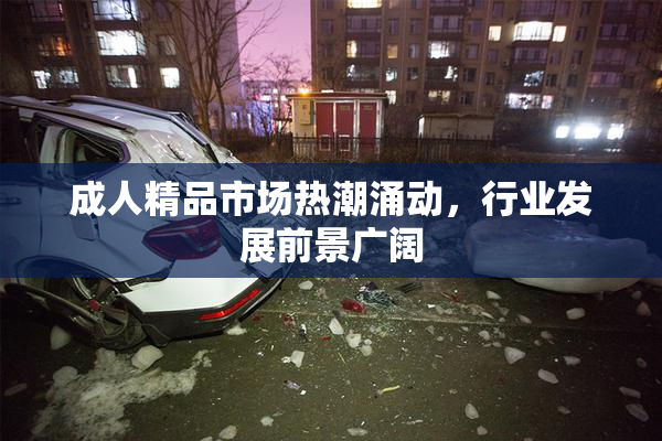 成人精品市场热潮涌动，行业发展前景广阔