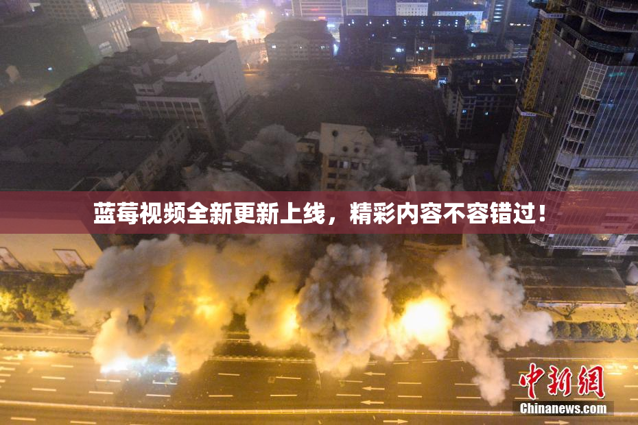 蓝莓视频全新更新上线，精彩内容不容错过！