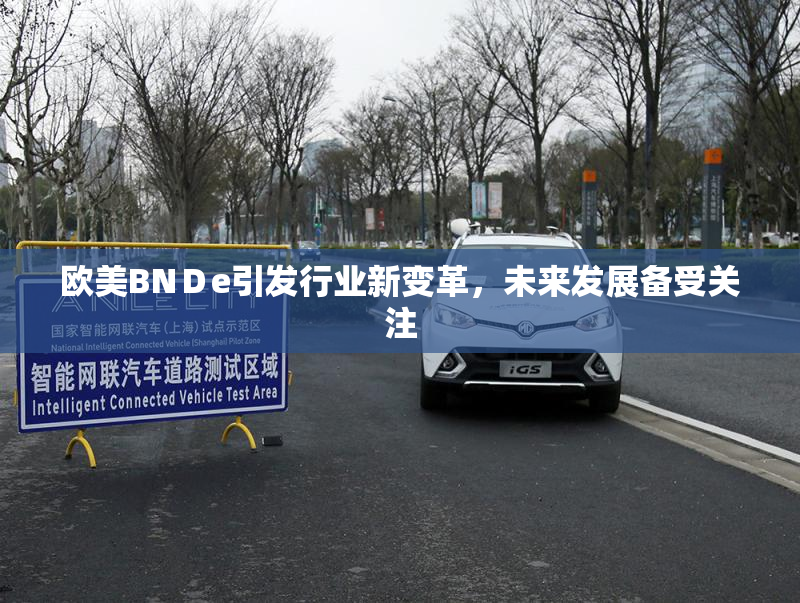 欧美BNＤe引发行业新变革，未来发展备受关注