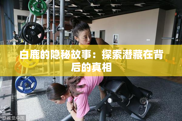 白鹿的隐秘故事：探索潜藏在背后的真相