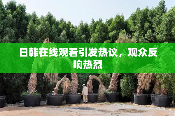 日韩在线观看引发热议，观众反响热烈