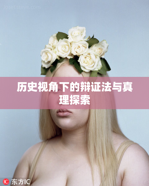 历史视角下的辩证法与真理探索