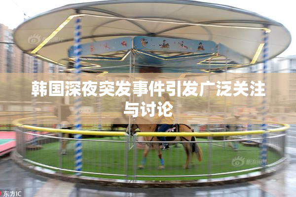 韩国深夜突发事件引发广泛关注与讨论