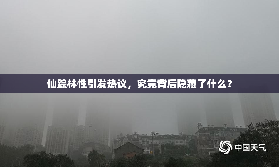 仙踪林性引发热议，究竟背后隐藏了什么？