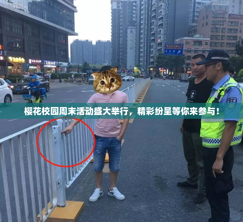 樱花校园周末活动盛大举行，精彩纷呈等你来参与！