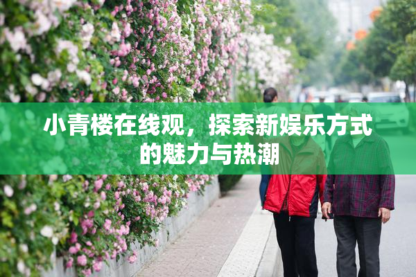 小青楼在线观，探索新娱乐方式的魅力与热潮