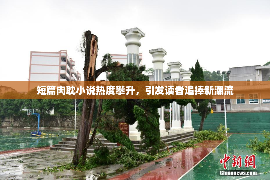 短篇肉耽小说热度攀升，引发读者追捧新潮流
