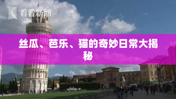 丝瓜、芭乐、猫的奇妙日常大揭秘