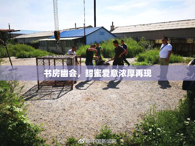 书房幽会，甜蜜爱意浓厚再现