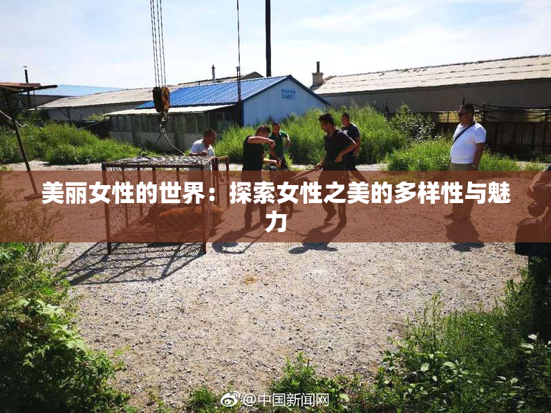美丽女性的世界：探索女性之美的多样性与魅力