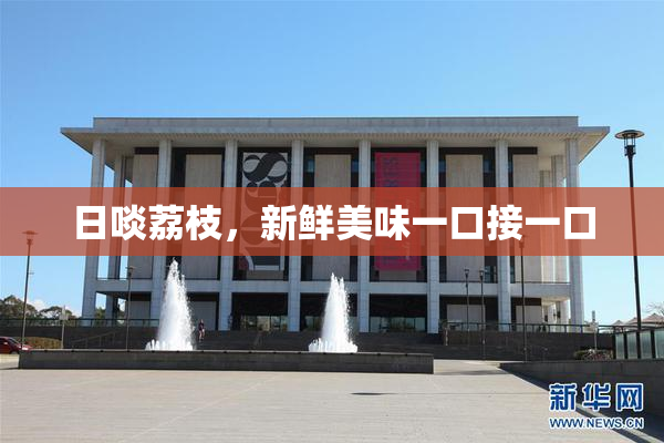 日啖荔枝，新鲜美味一口接一口