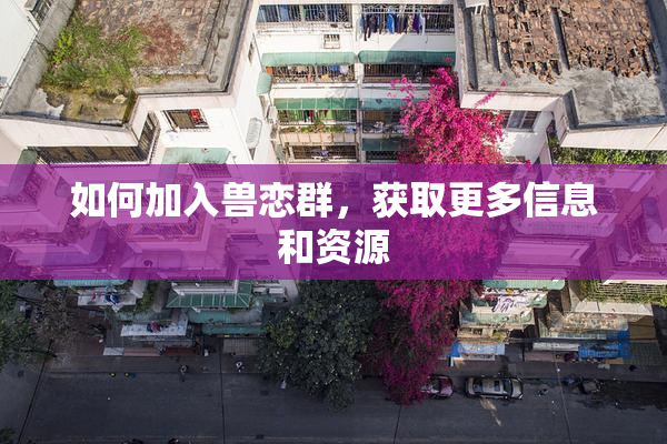 如何加入兽恋群，获取更多信息和资源