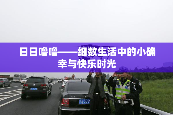 日日噜噜——细数生活中的小确幸与快乐时光