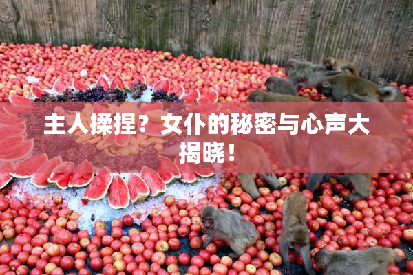 主人揉捏？女仆的秘密与心声大揭晓！