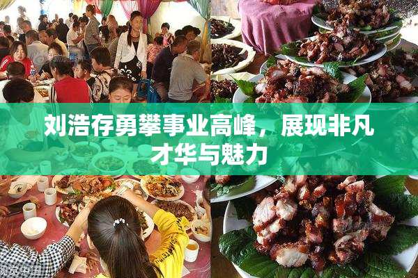 刘浩存勇攀事业高峰，展现非凡才华与魅力