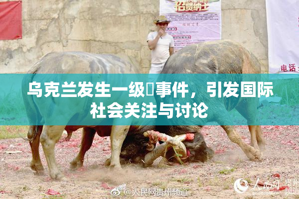 乌克兰发生一级婬事件，引发国际社会关注与讨论