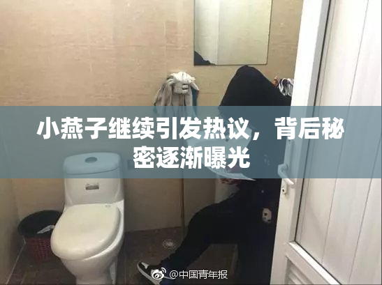 小燕子继续引发热议，背后秘密逐渐曝光