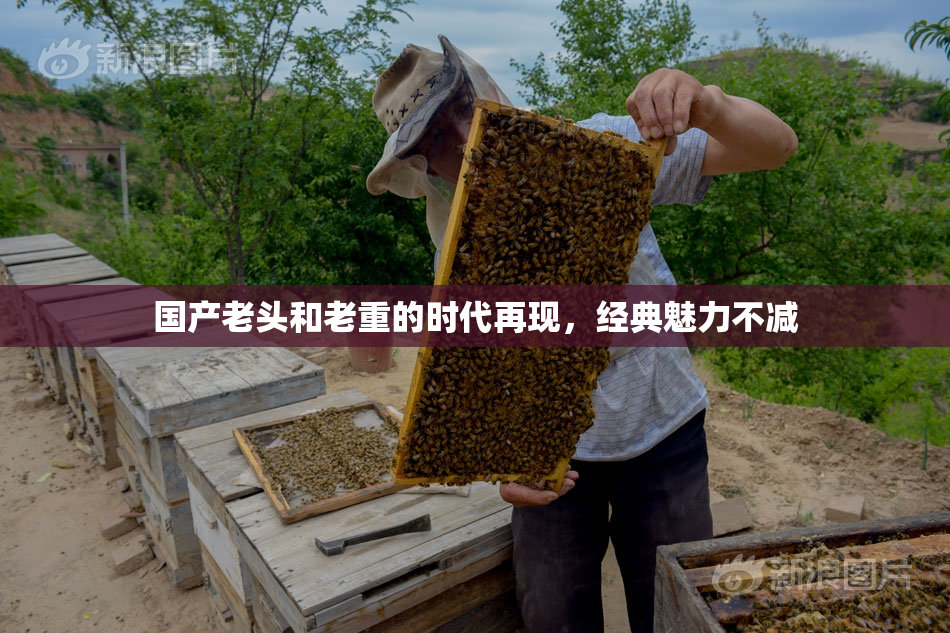 国产老头和老重的时代再现，经典魅力不减