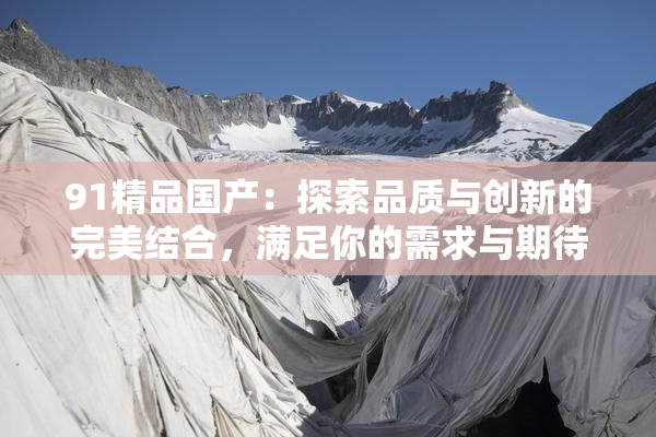 91精品国产：探索品质与创新的完美结合，满足你的需求与期待。