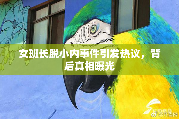 女班长脱小内事件引发热议，背后真相曝光