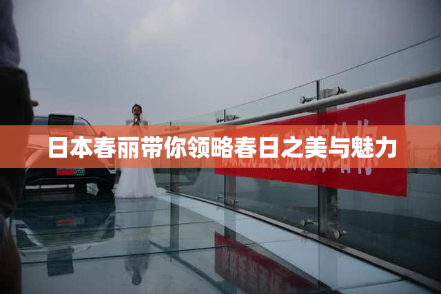日本春丽带你领略春日之美与魅力